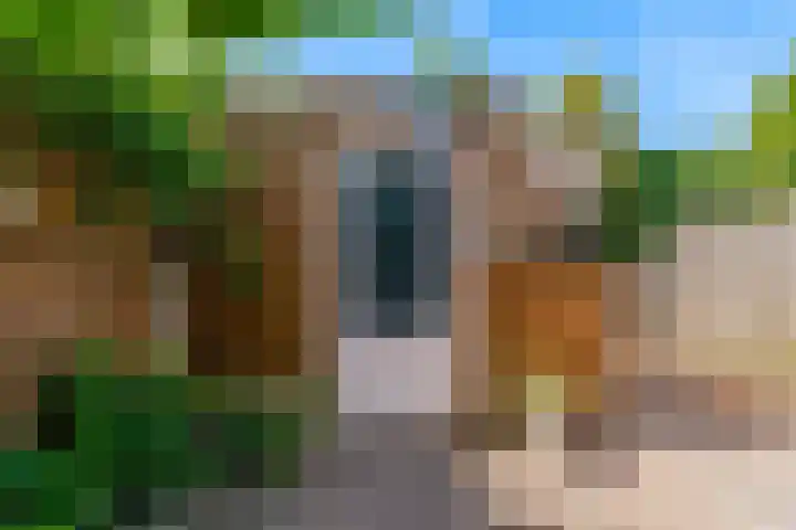 Visarend 26 Tollebeek thumbnail 30