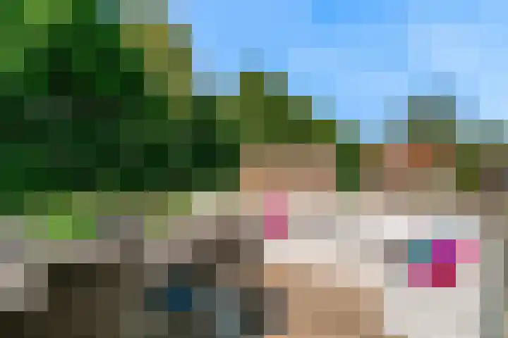 Visarend 26 Tollebeek thumbnail 32