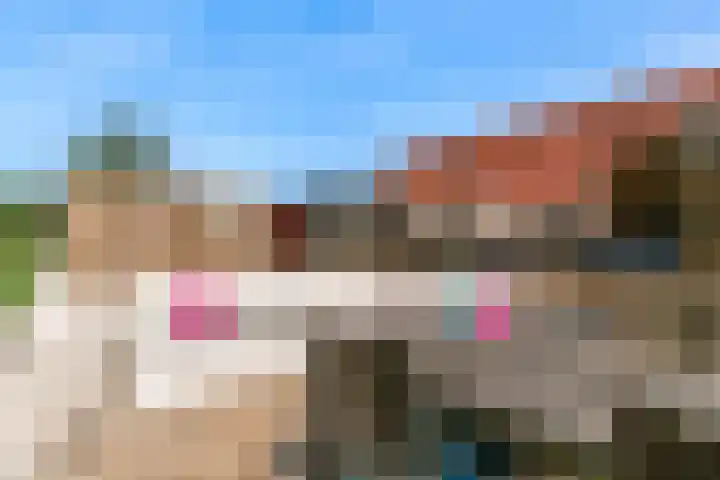Visarend 26 Tollebeek thumbnail 33