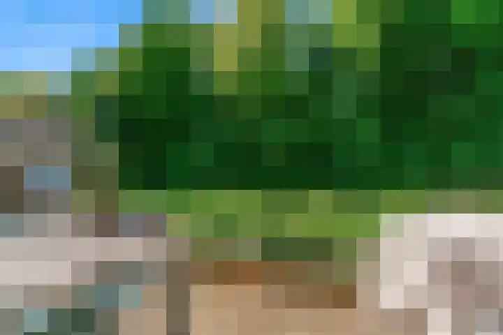 Visarend 26 Tollebeek thumbnail 34