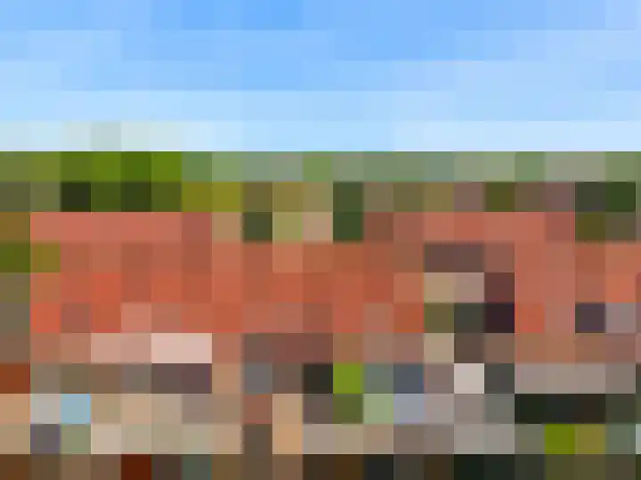 Visarend 26 Tollebeek thumbnail 36