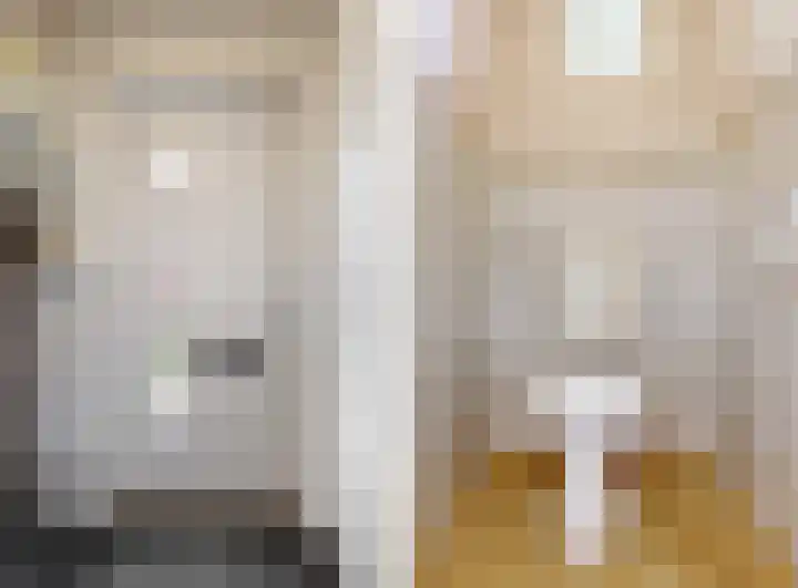 Visarend 26 Tollebeek thumbnail 4