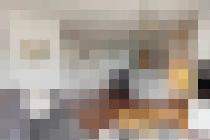Visarend 26 Tollebeek thumbnail 5