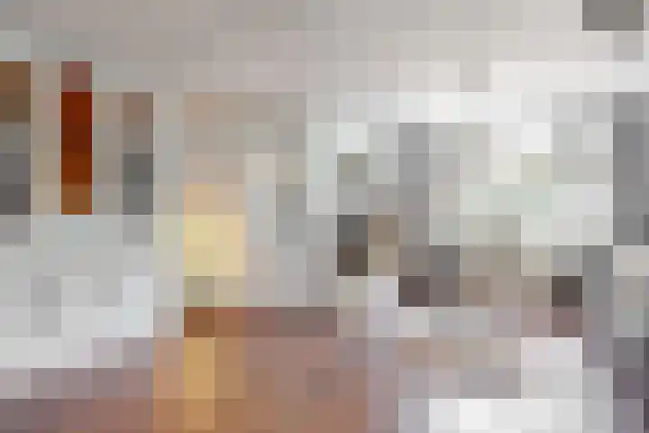 Visarend 26 Tollebeek thumbnail 6