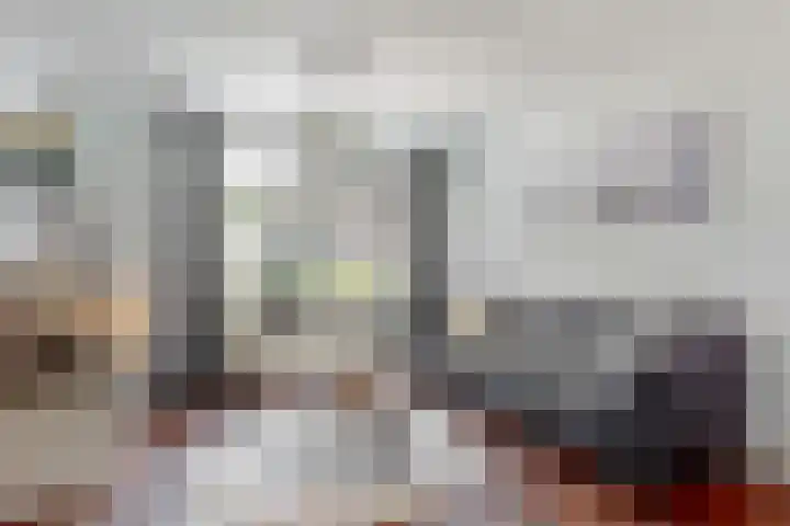 Visarend 26 Tollebeek thumbnail 9