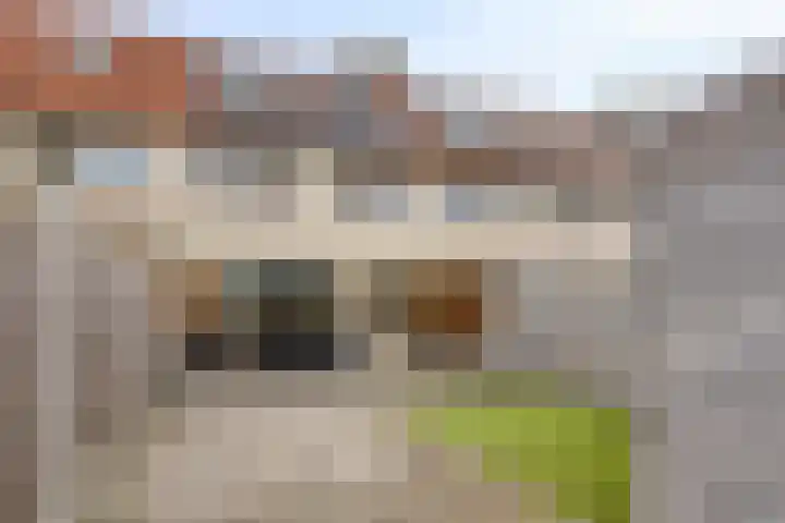 Visarend 37 Bergen op Zoom thumbnail 33