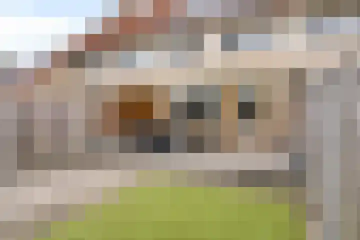 Visarend 37 Bergen op Zoom thumbnail 34