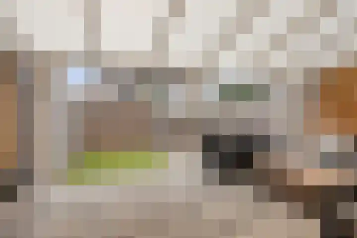 Visarend 37 Bergen op Zoom thumbnail 37