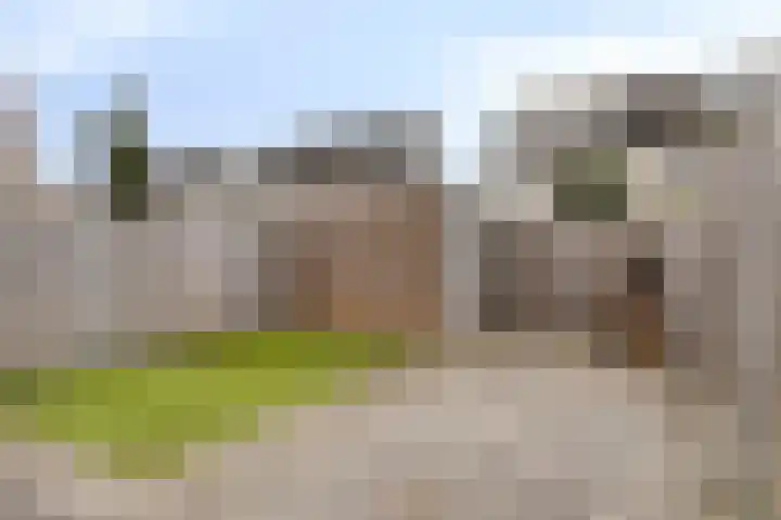 Visarend 37 Bergen op Zoom thumbnail 38