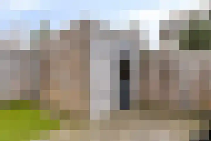 Visarend 37 Bergen op Zoom thumbnail 39
