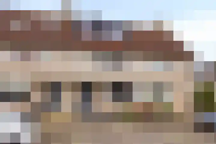 Visarend 37 Bergen op Zoom thumbnail 40
