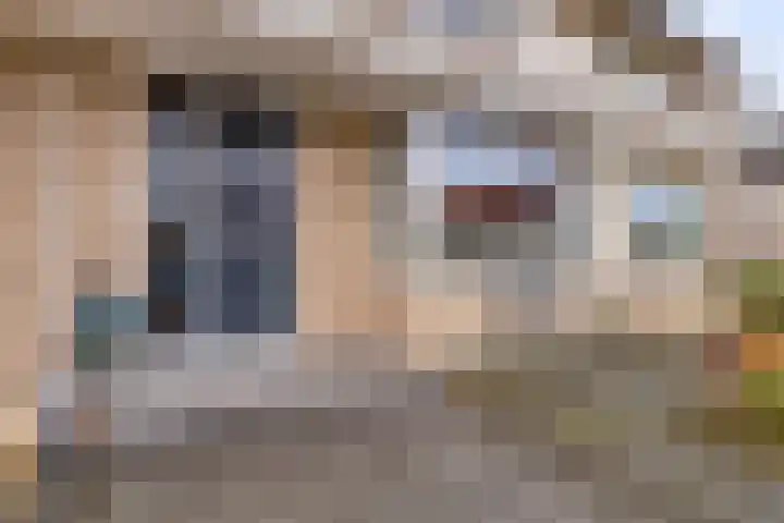 Visarend 37 Bergen op Zoom thumbnail 41