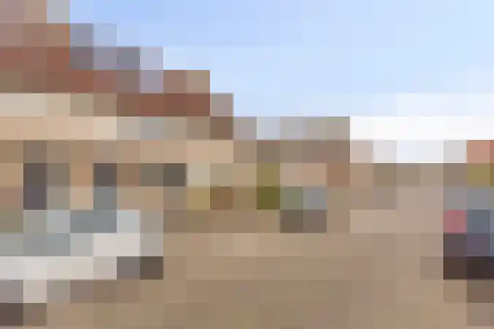 Visarend 37 Bergen op Zoom thumbnail 43