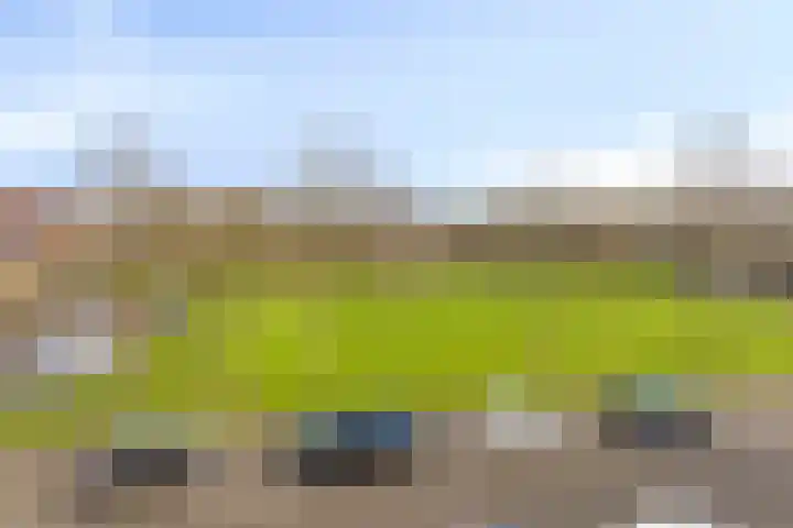 Visarend 37 Bergen op Zoom thumbnail 44