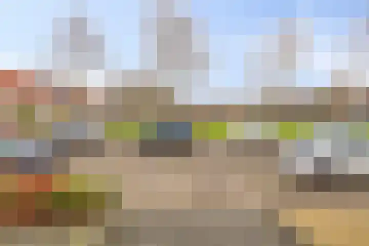 Visarend 37 Bergen op Zoom thumbnail 45