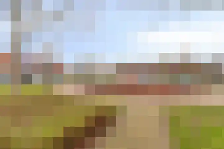 Visarend 37 Bergen op Zoom thumbnail 46