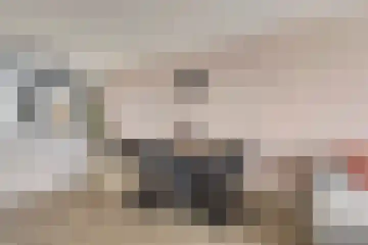 Visarend 37 Bergen op Zoom thumbnail 5