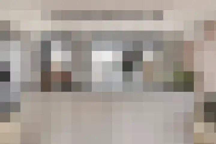Visarend 37 Bergen op Zoom thumbnail 8