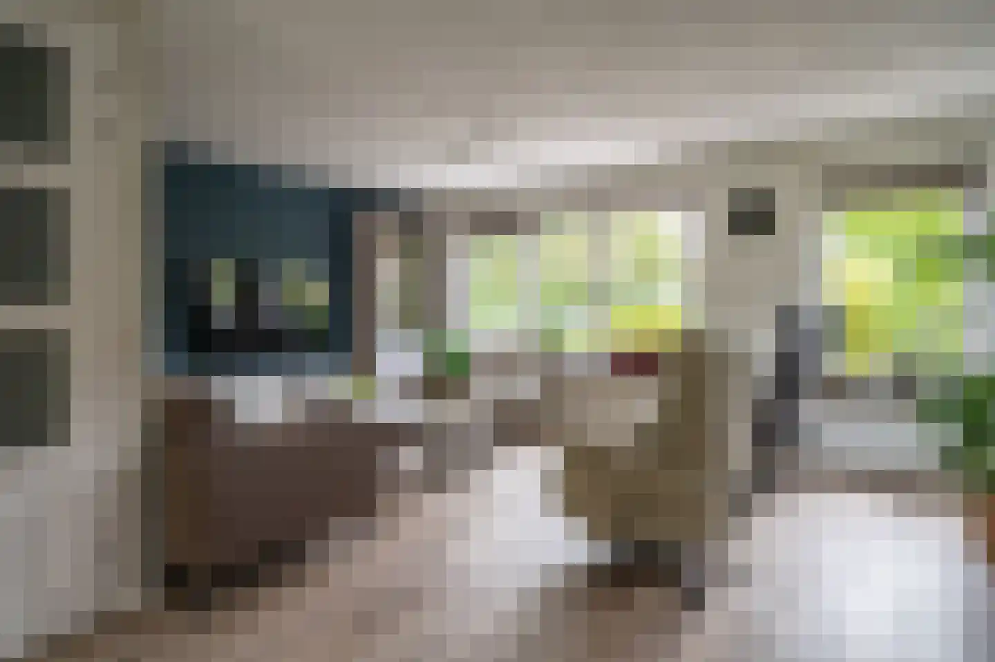 Visarend 4 Tollebeek thumbnail 10