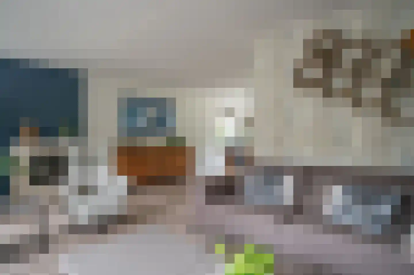Visarend 4 Tollebeek thumbnail 12
