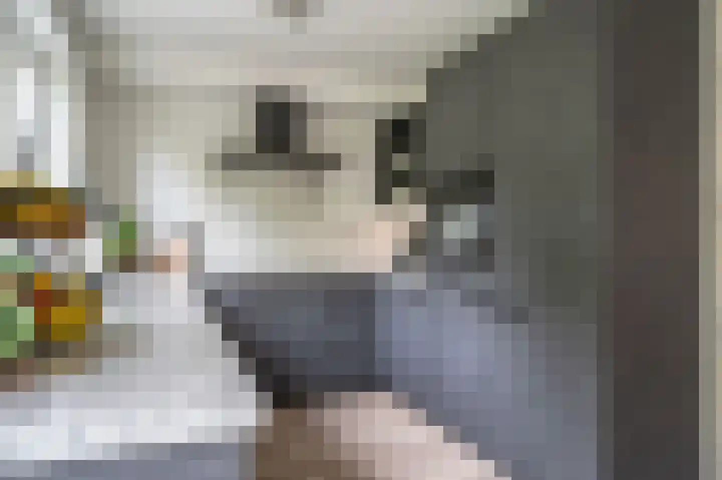Visarend 4 Tollebeek thumbnail 15