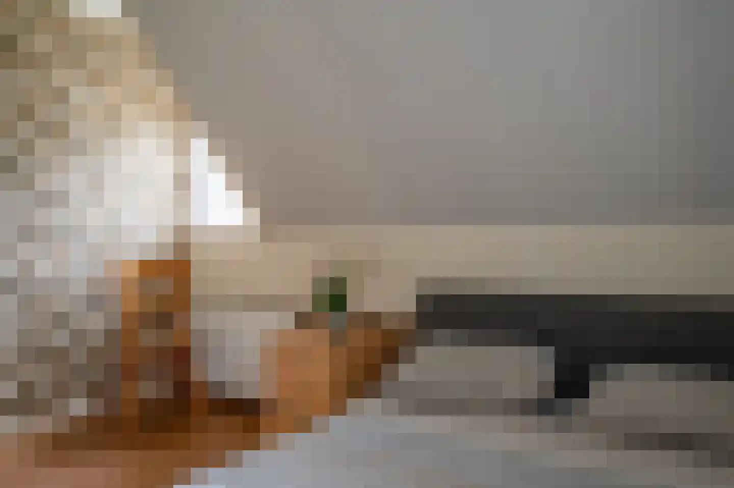 Visarend 4 Tollebeek thumbnail 27