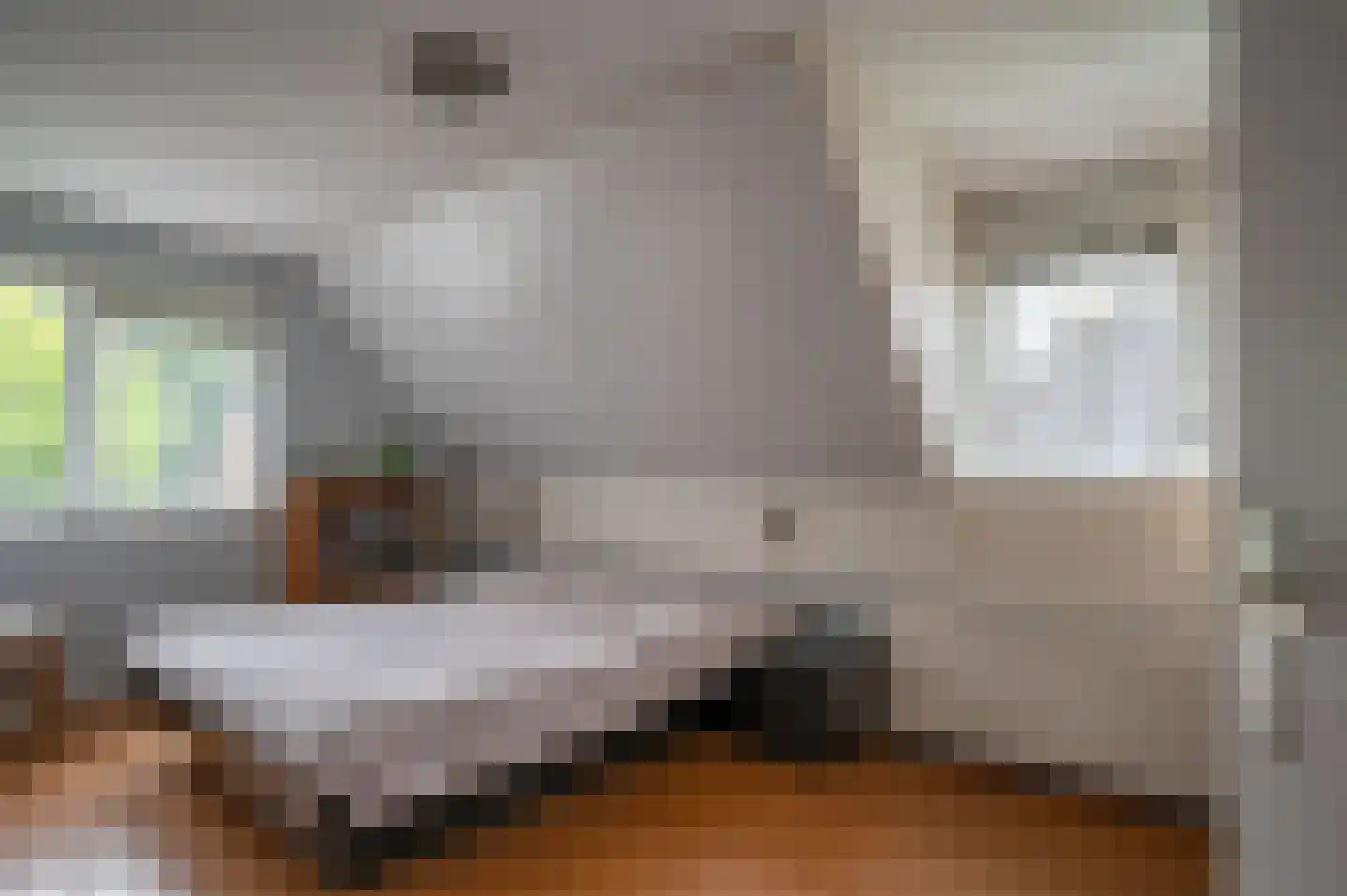 Visarend 4 Tollebeek thumbnail 28