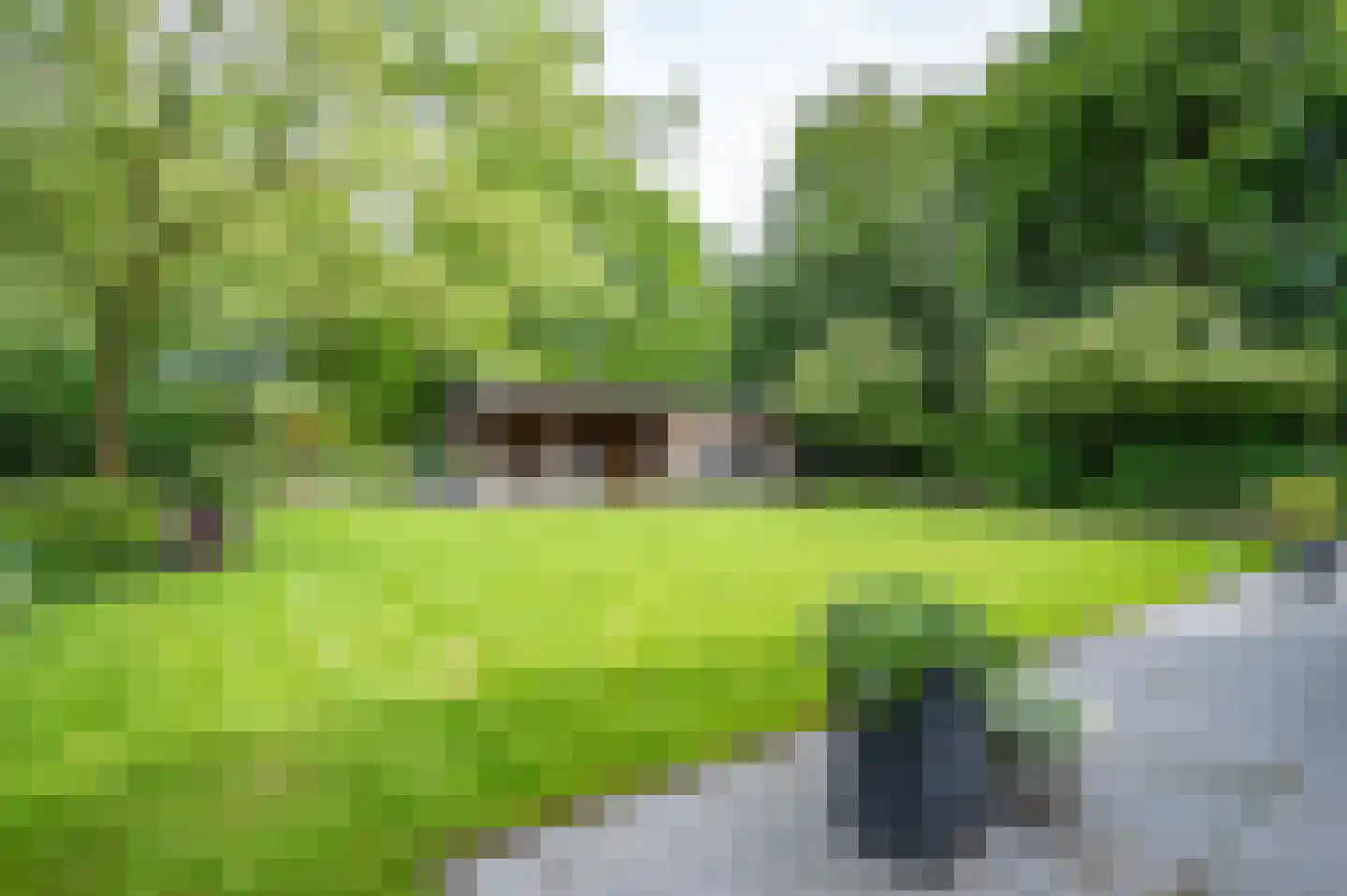 Visarend 4 Tollebeek thumbnail 39