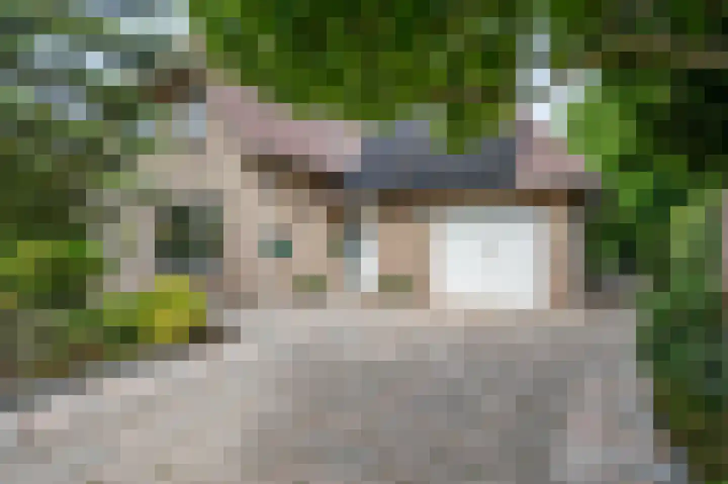 Visarend 4 Tollebeek thumbnail 4