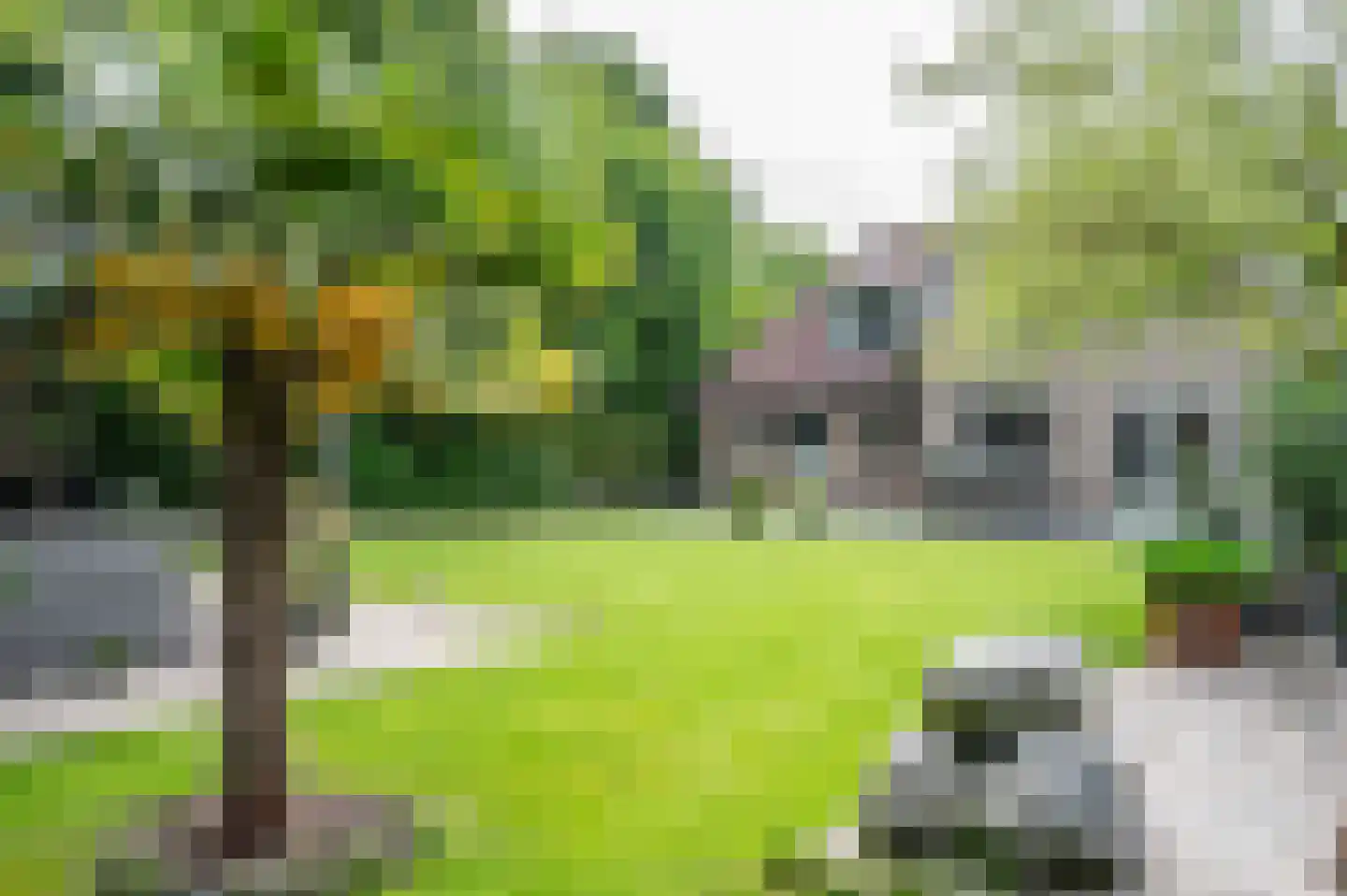 Visarend 4 Tollebeek thumbnail 40