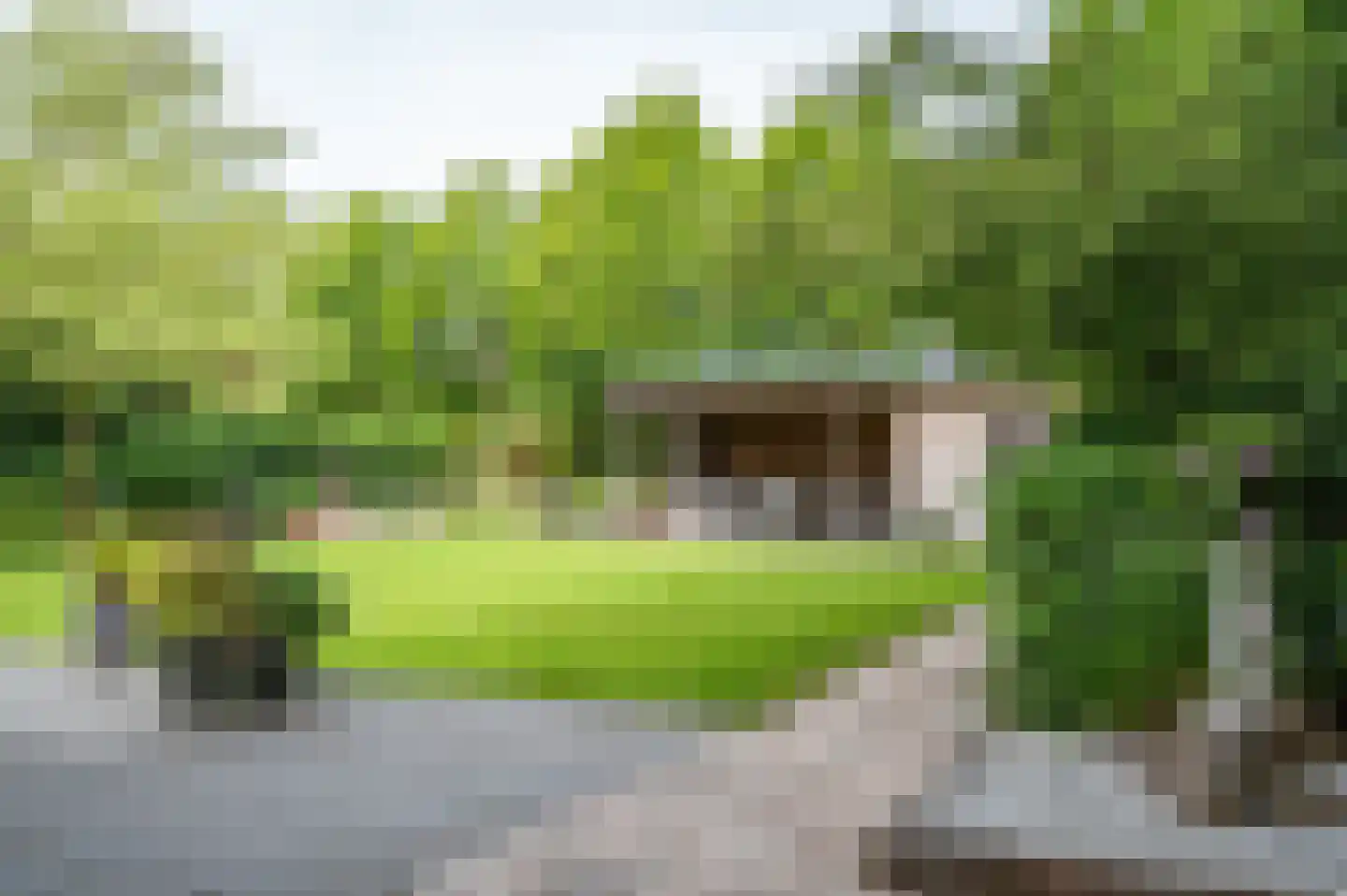 Visarend 4 Tollebeek thumbnail 41