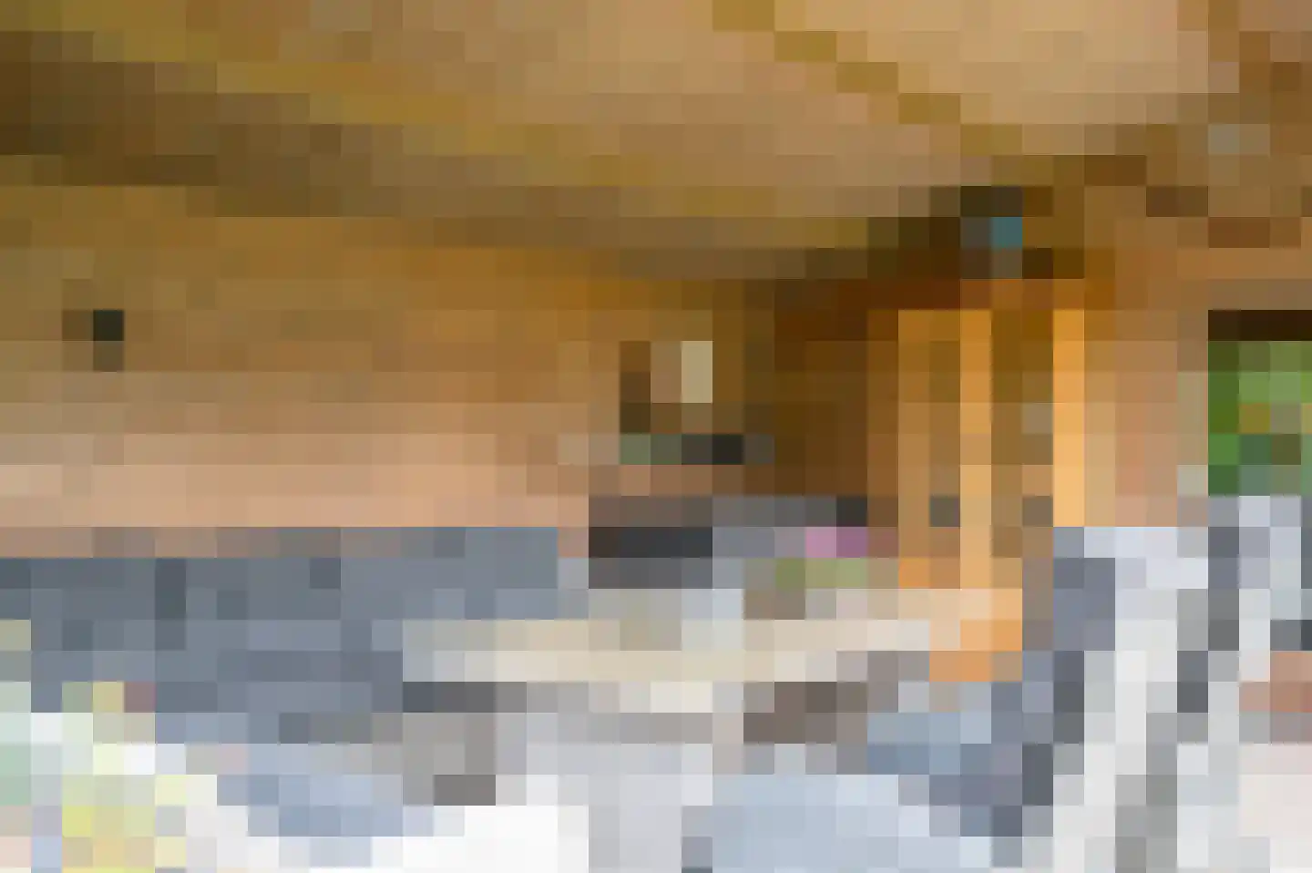 Visarend 4 Tollebeek thumbnail 44