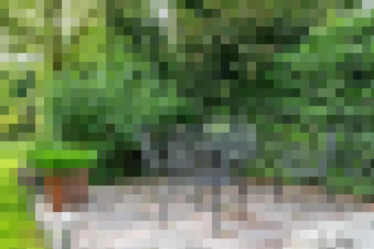 Visarend 4 Tollebeek thumbnail 45