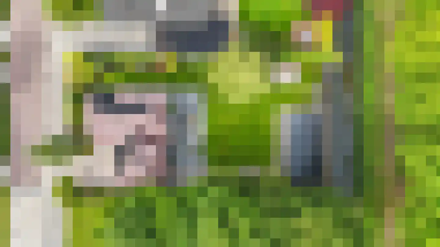 Visarend 4 Tollebeek thumbnail 48