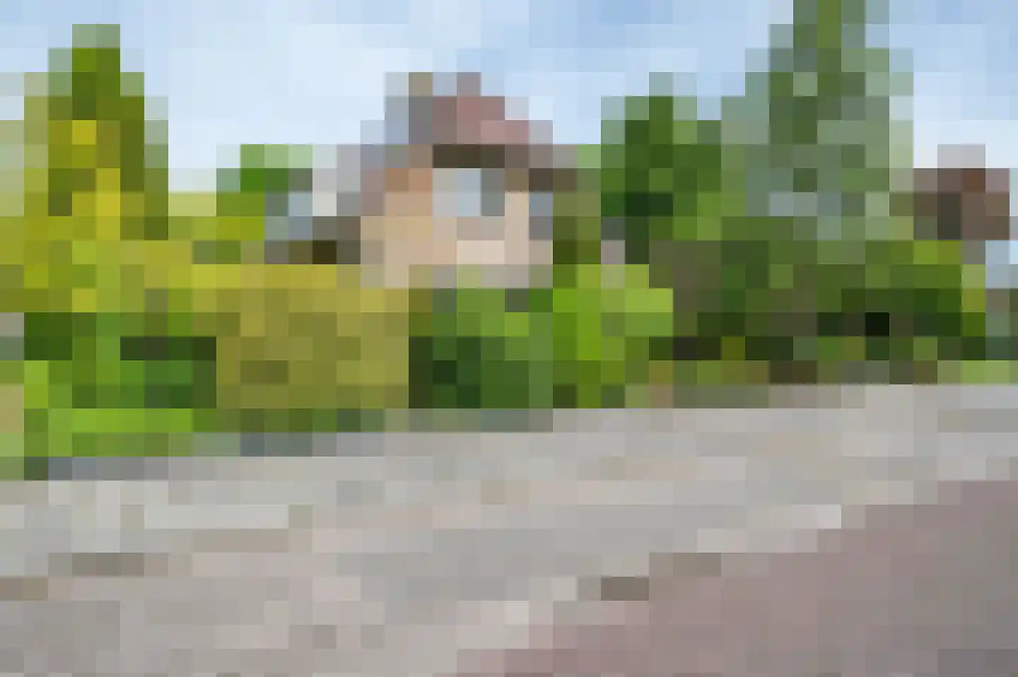 Visarend 4 Tollebeek thumbnail 50
