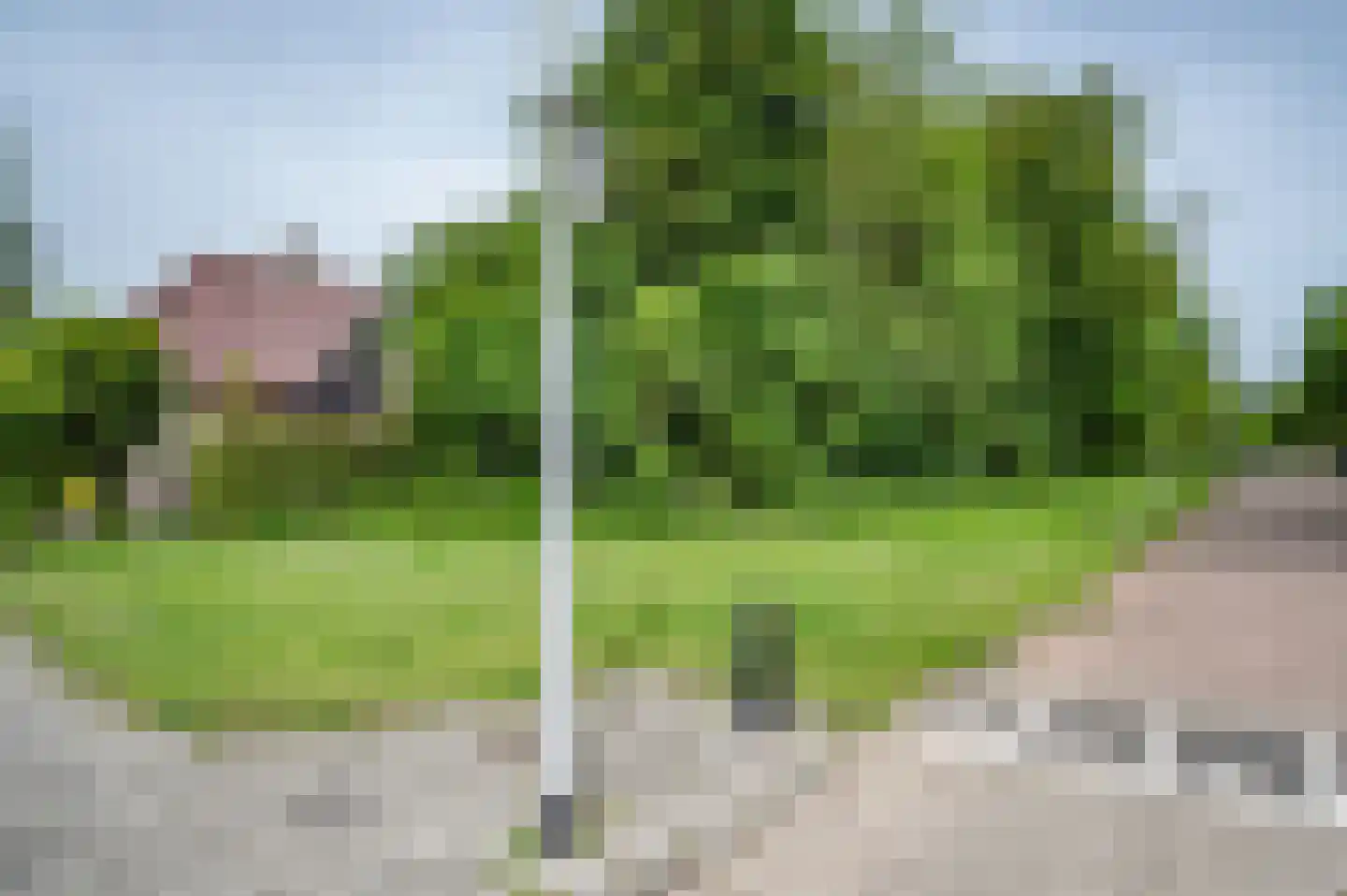 Visarend 4 Tollebeek thumbnail 52