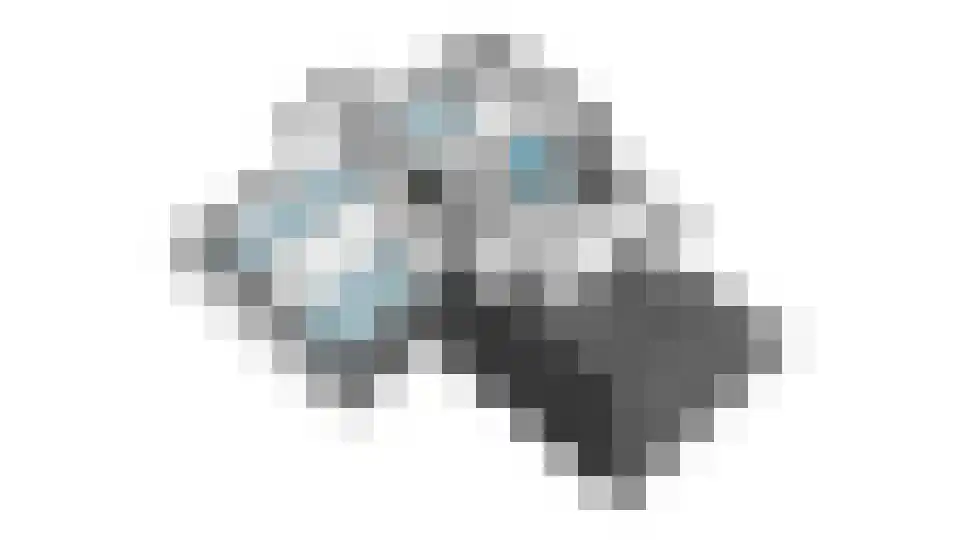 Visarend 4 Tollebeek thumbnail 58