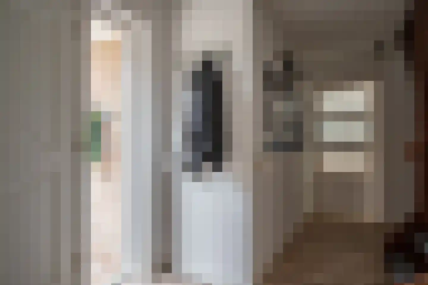 Visarend 4 Tollebeek thumbnail 7