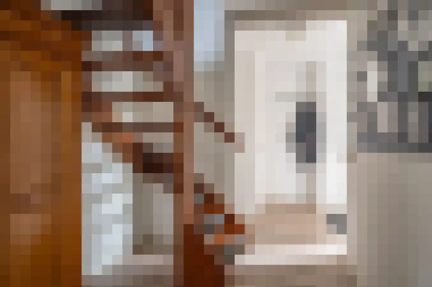 Visarend 4 Tollebeek thumbnail 8