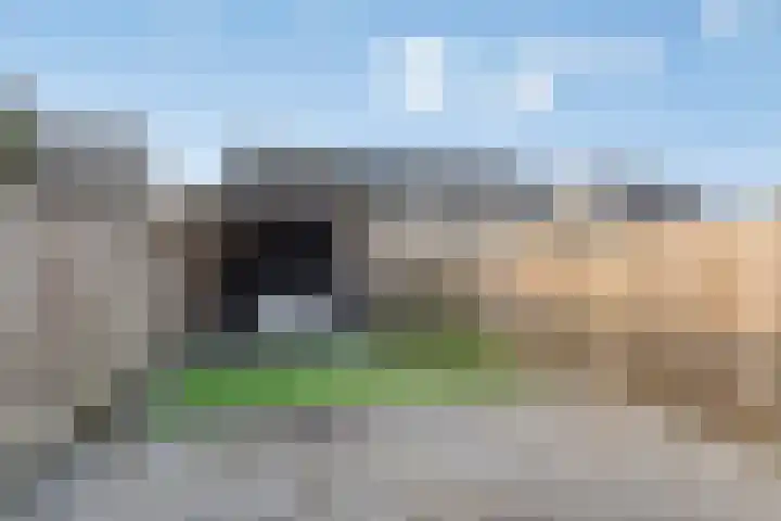 Visarend 49 Bergen op Zoom thumbnail 24