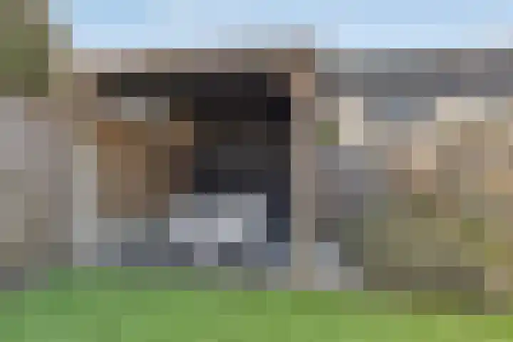 Visarend 49 Bergen op Zoom thumbnail 25