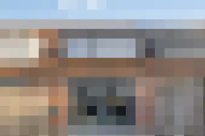 Visarend 49 Bergen op Zoom thumbnail 27