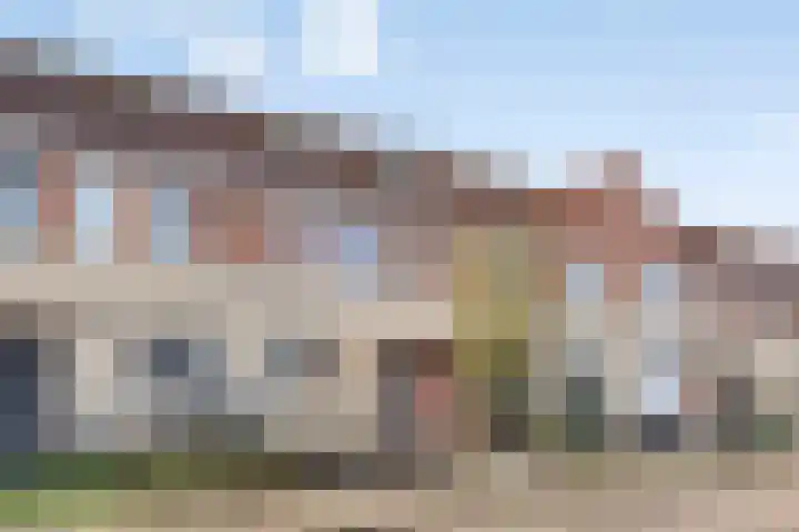 Visarend 49 Bergen op Zoom thumbnail 28