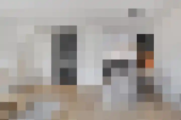Visarend 49 Bergen op Zoom thumbnail 4