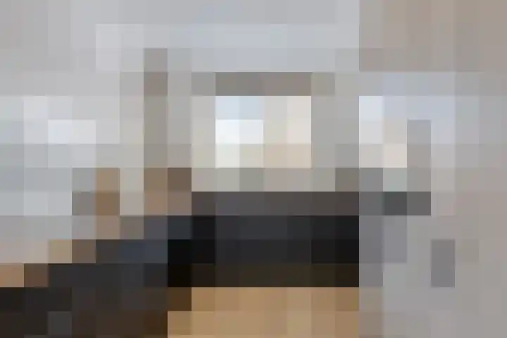 Visarend 49 Bergen op Zoom thumbnail 7