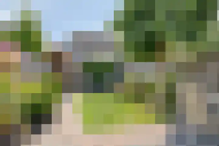 Visarend 59 Bergen op Zoom thumbnail 27
