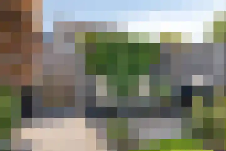 Visarend 59 Bergen op Zoom thumbnail 30