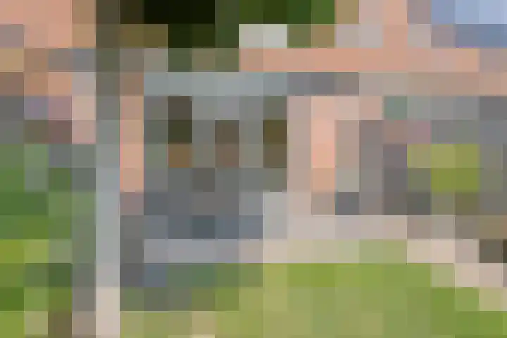 Visarend 59 Bergen op Zoom thumbnail 31