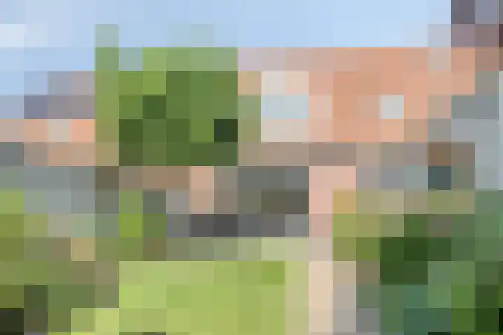 Visarend 59 Bergen op Zoom thumbnail 32