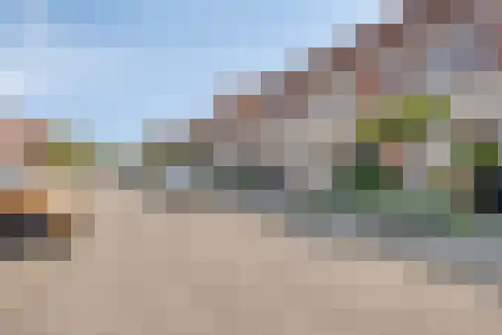 Visarend 59 Bergen op Zoom thumbnail 36